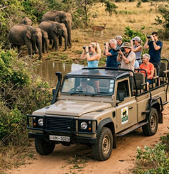 Yala National Park