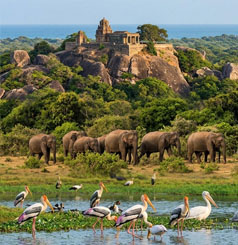 Kumana National Park
